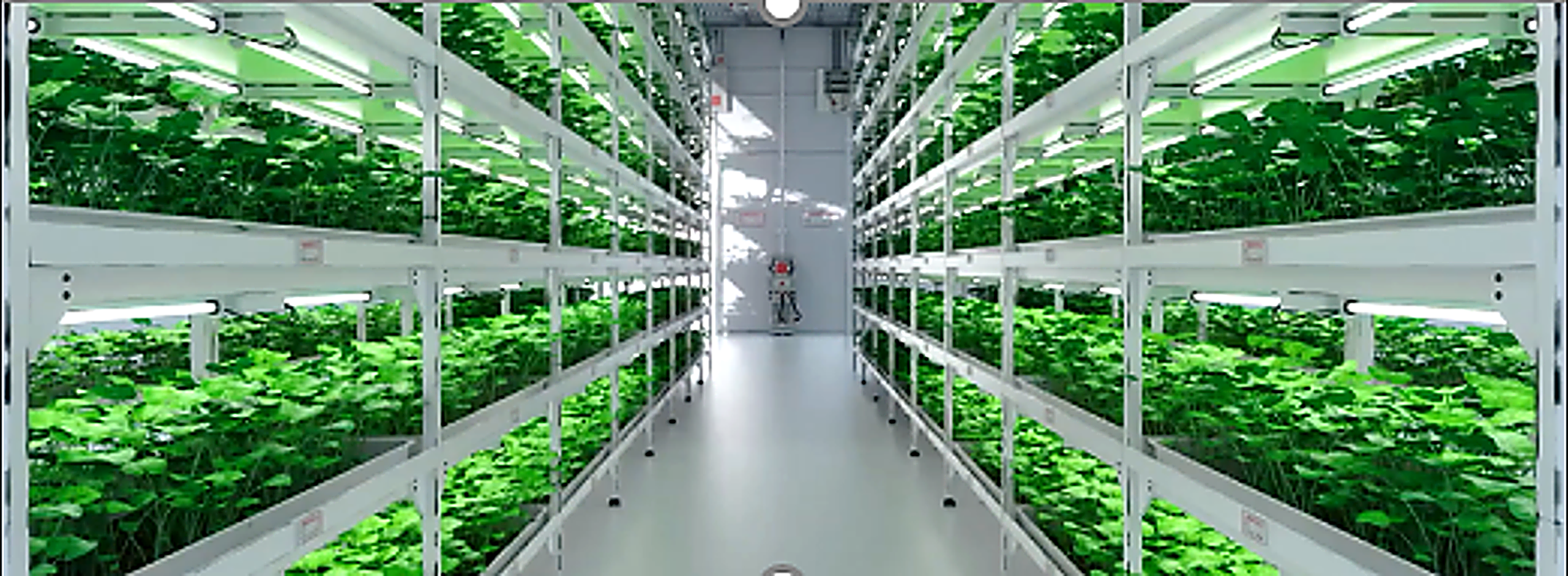 Smart Farm 智慧農場