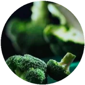 BROCCOLI