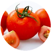 TOMATO
